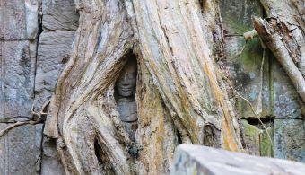carving face ta prohm