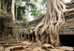 Full Day Angkor – 7 Wonders of the World Tour - Image 12